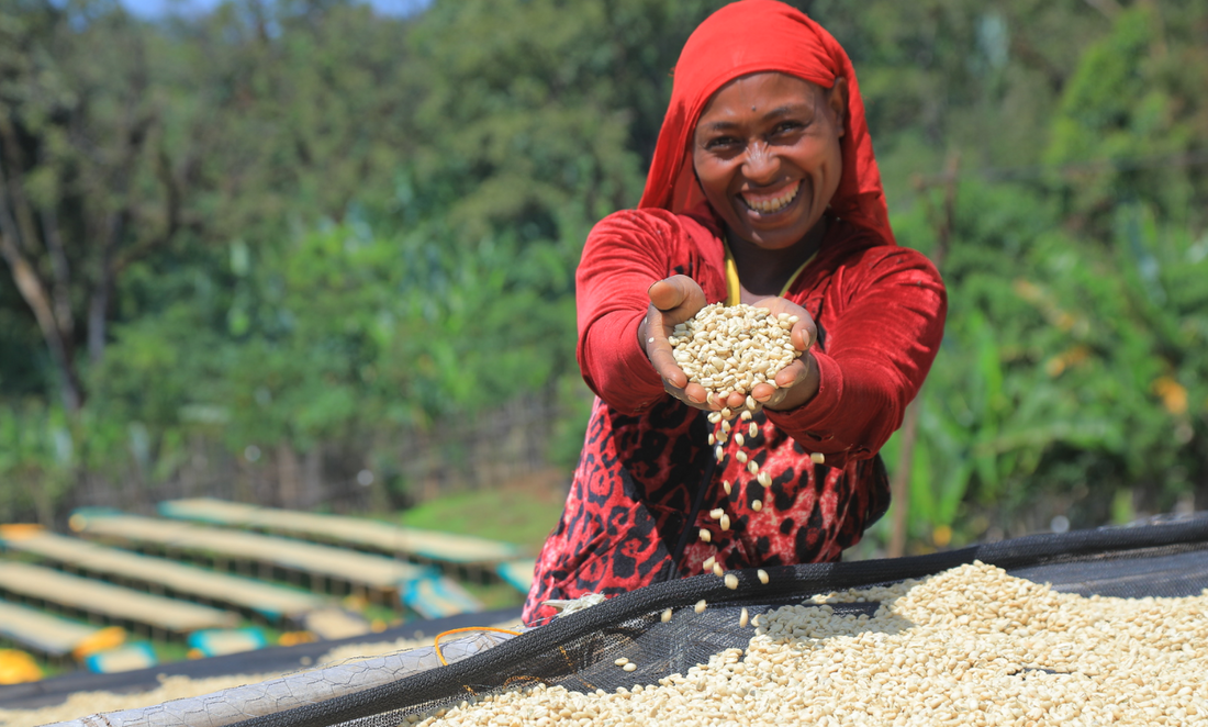 ETHIOPIA Halo Beriti