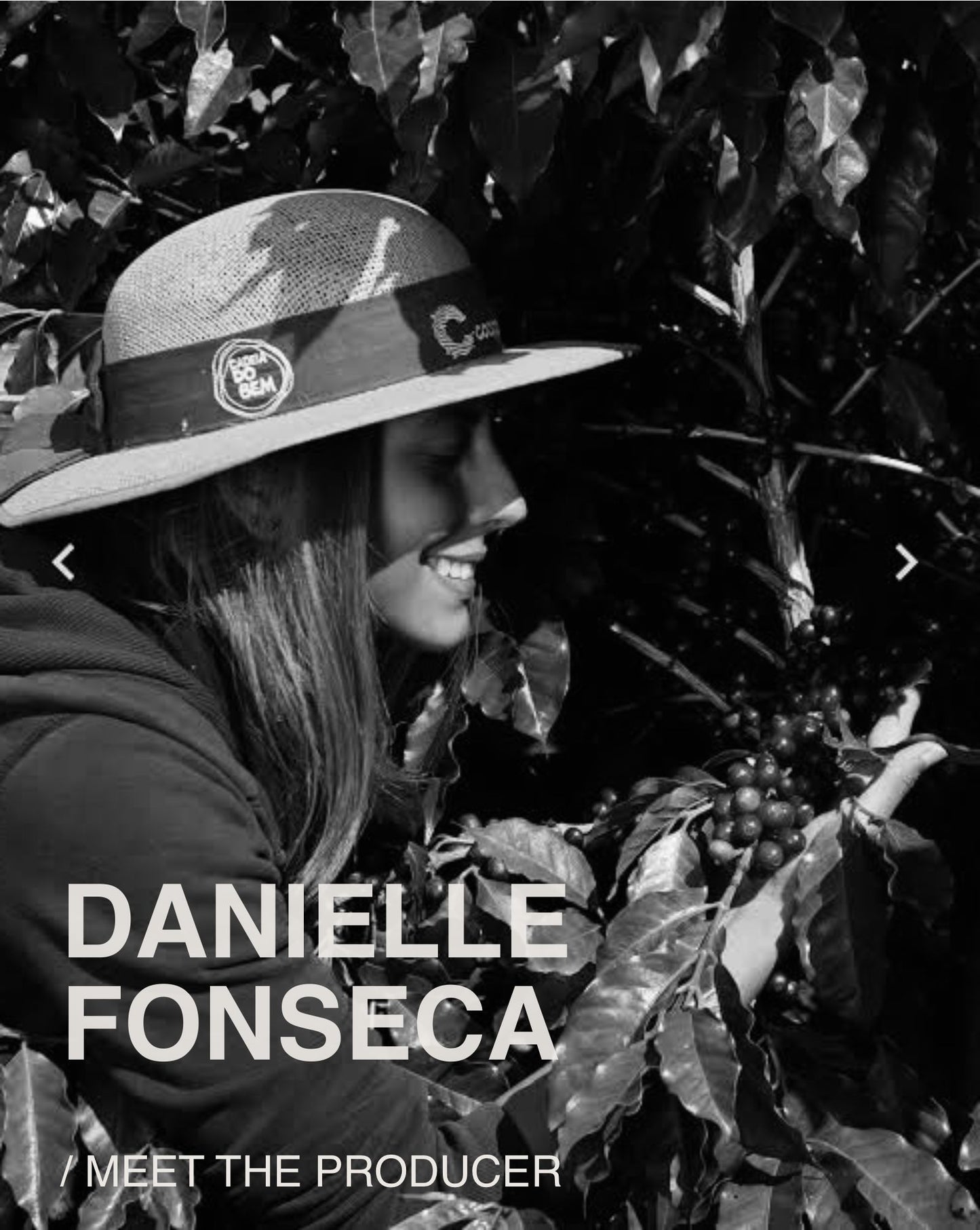 (NEW) Danielle Fonseca, Red Icatu, Natural Anaerobic, BRAZIL