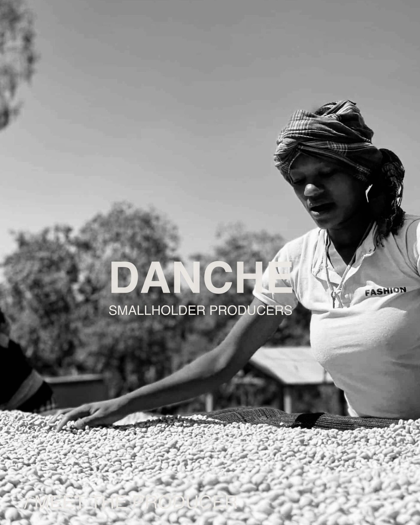 (NEW) Danche, Landrace, Washed, ETHIOPIA