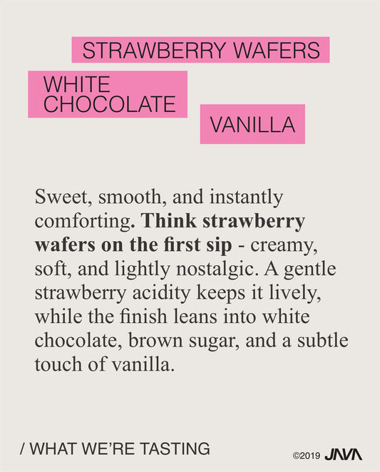 (NEW) Danche, Landrace, Natural, ETHIOPIA