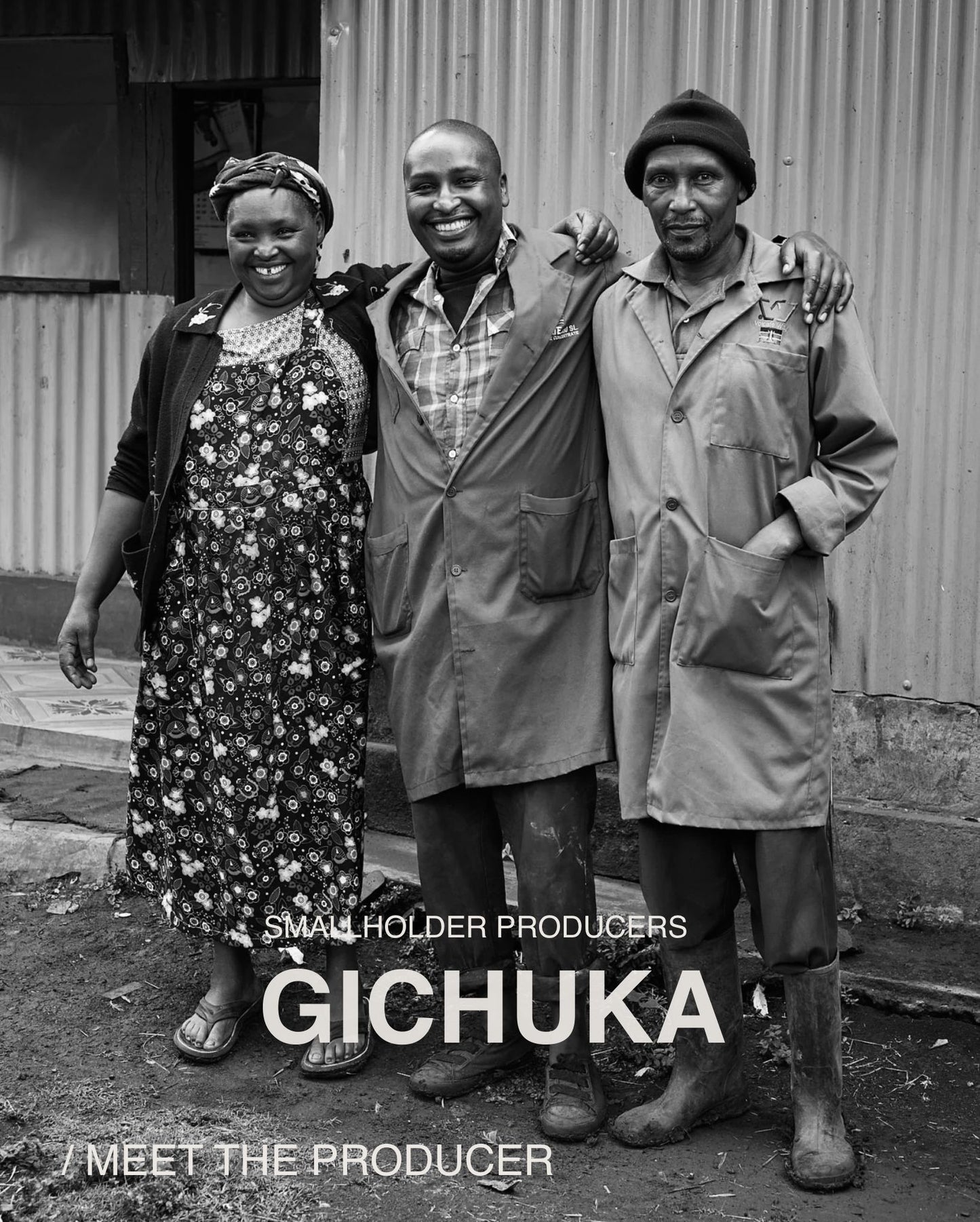 Gichuka AA, Mixed Varietals, Washed KENYA