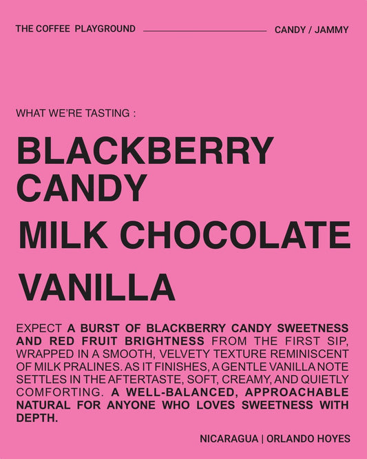 (BESTSELLER) Orlando Hoyes, Caturra, NICARAGUA