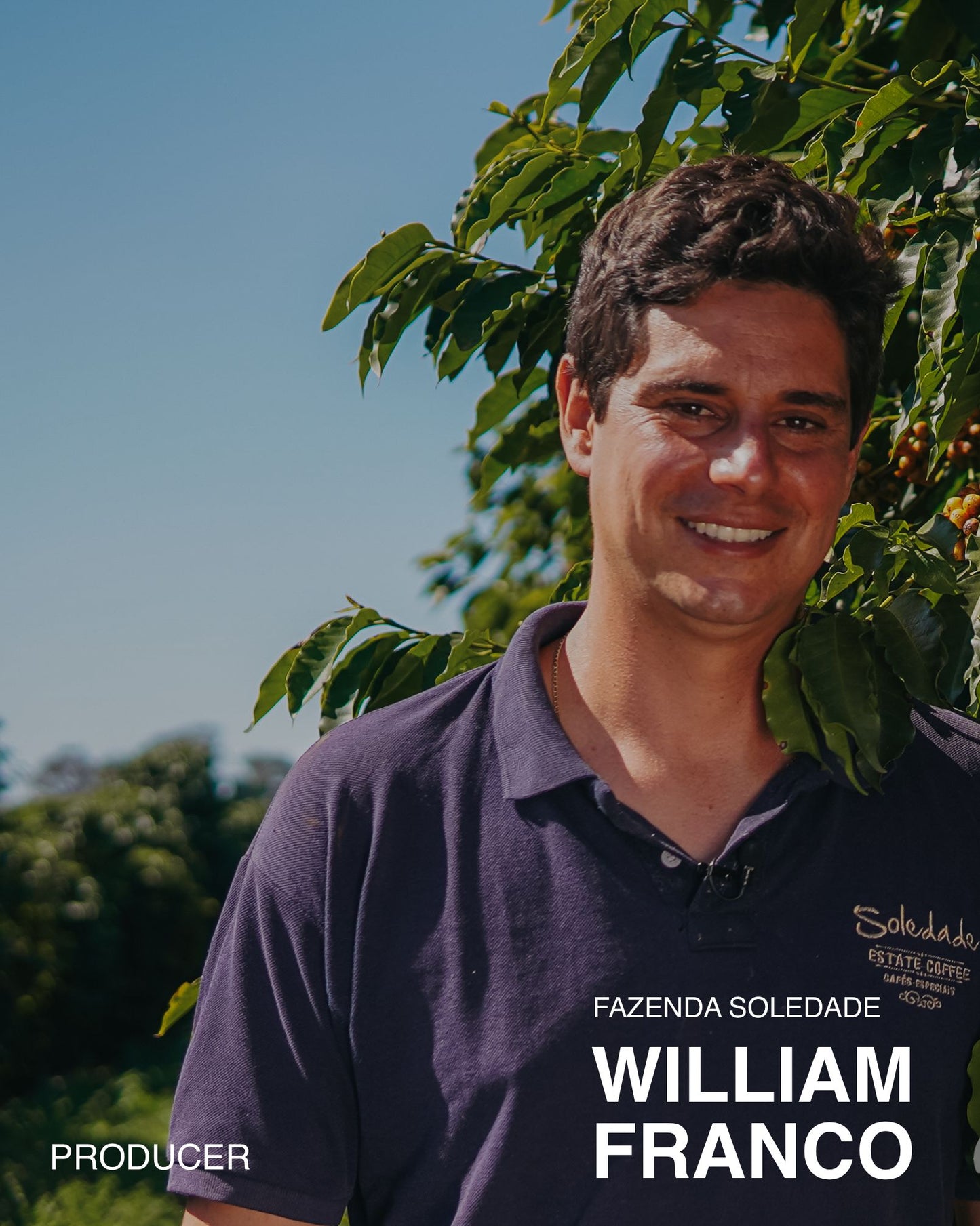 BRAZIL William Franco (ESPRESSO)