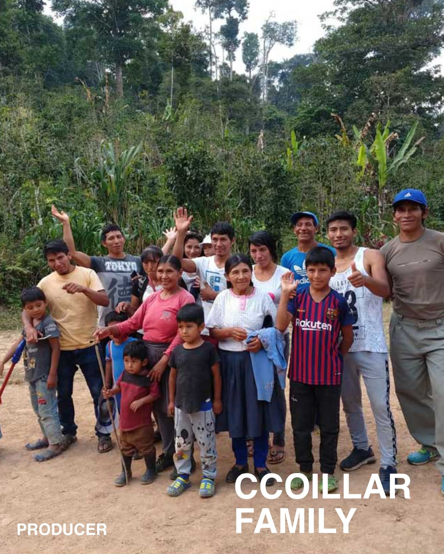 (NEW) PERU Ramos Ccoillar Family (ESPRESSO)