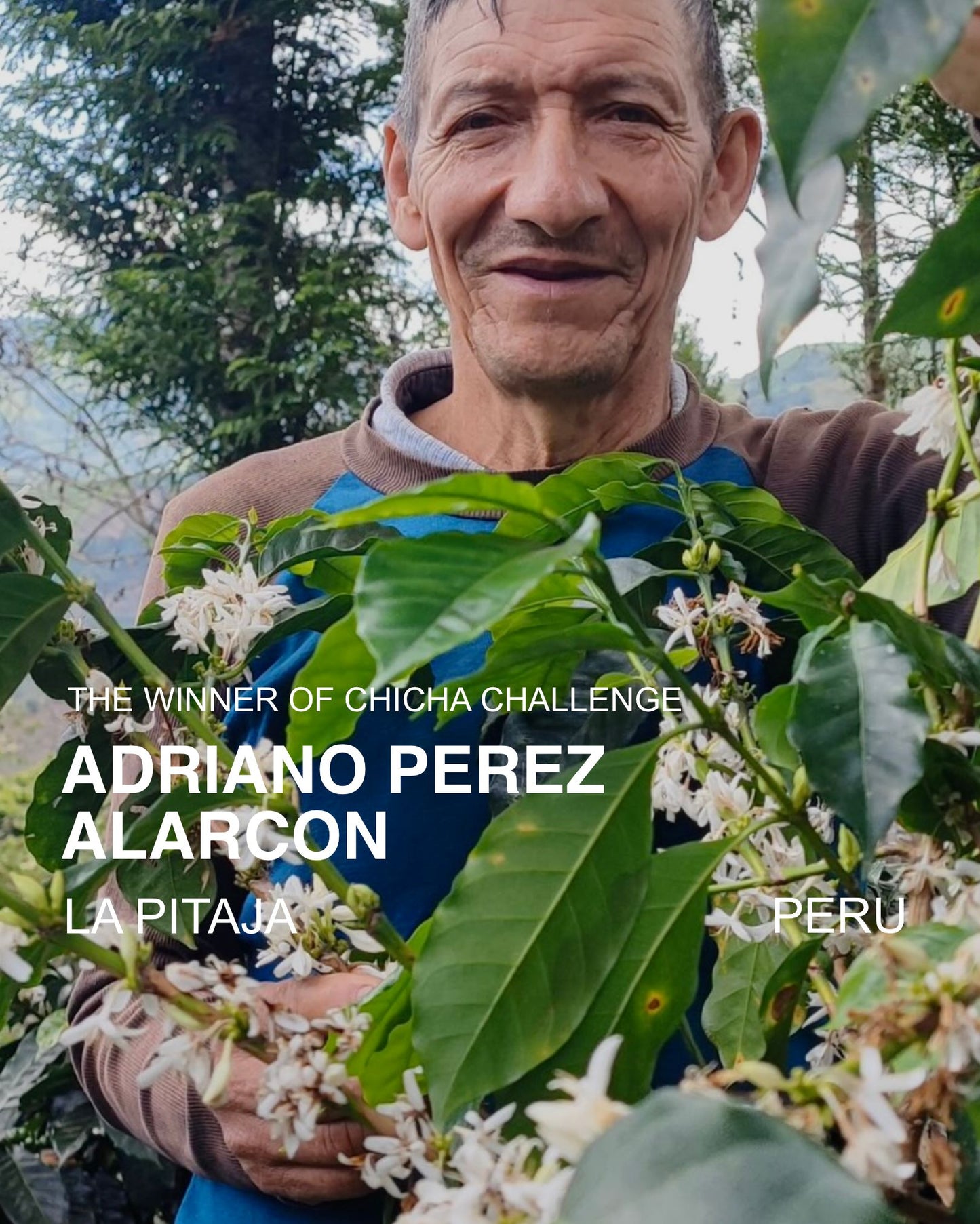 (UNLOCKED) La Pitajaya, Yellow Bourbon, Natural Anaerobic PERU