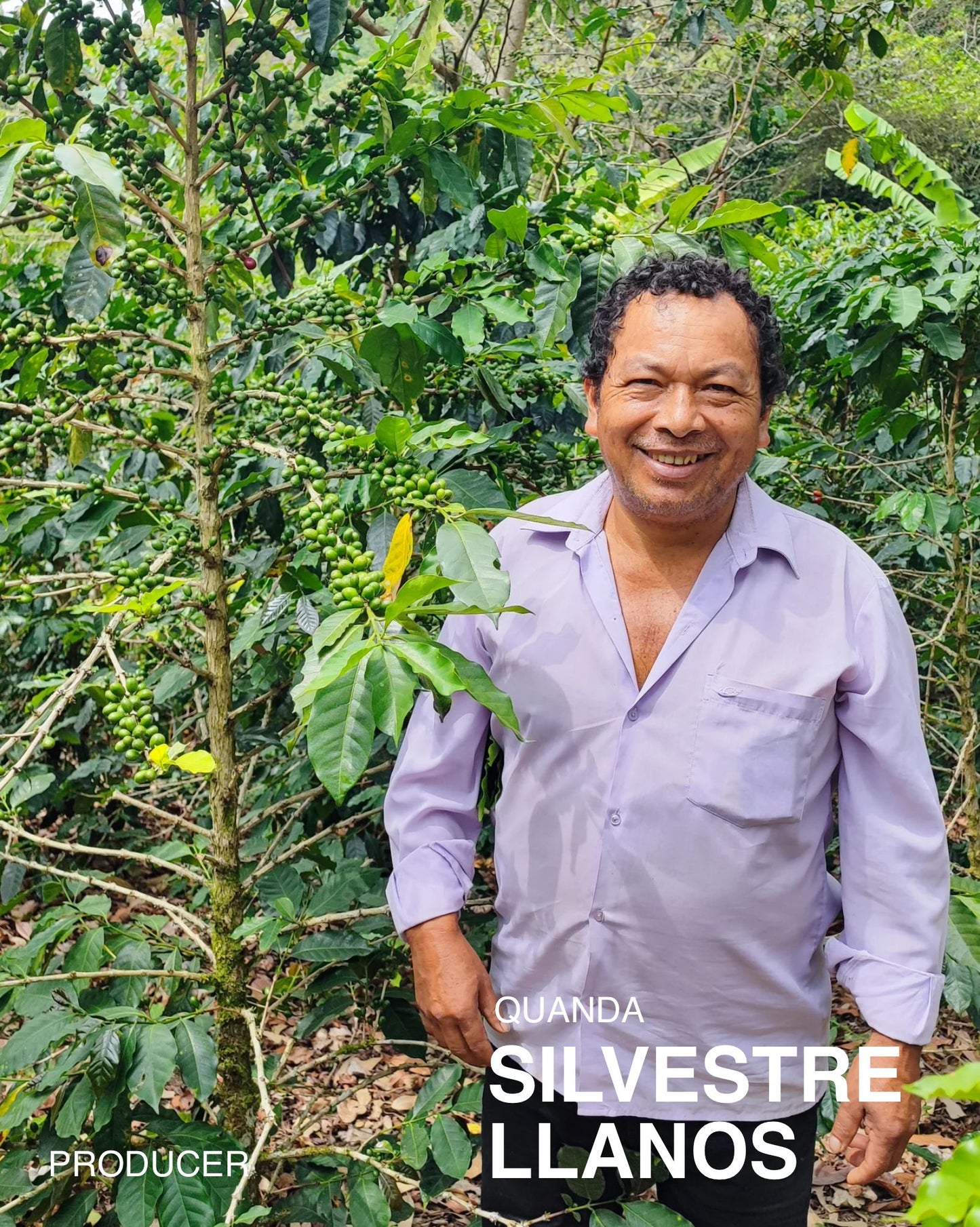 (NEW) Silvestre Llanos, Washed-Mixed Varietals, PERU