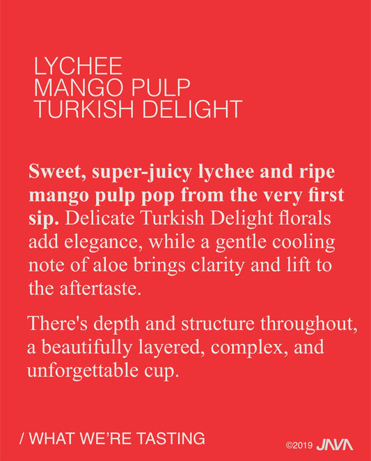 PRE-ORDER (UNLOCKED) Finca Quebraditas, Sidra, Thermal Shock Anaerobic, COLOMBIA