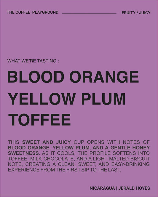 (BESTSELLER) Jerald Hoyes, Caturra, NICARAGUA