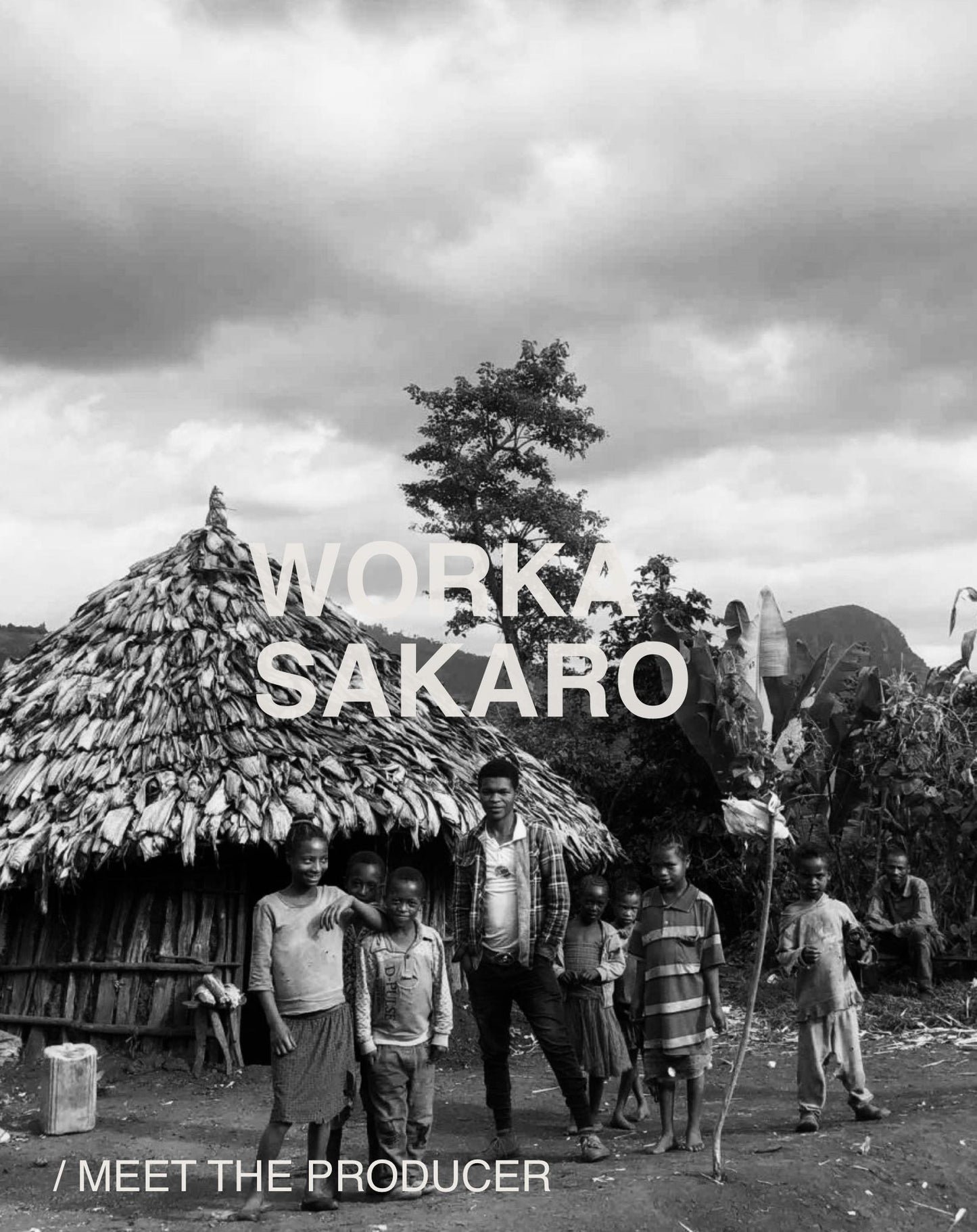 (NEW) Worka Sakaro, Heirloom, Natural, ETHIOPIA