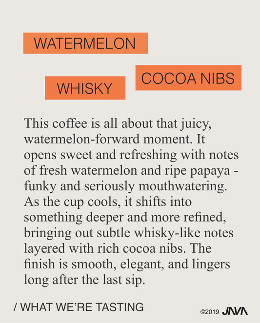 (NEW) Monteverde, Wush Wush, Red Honey COLOMBIA