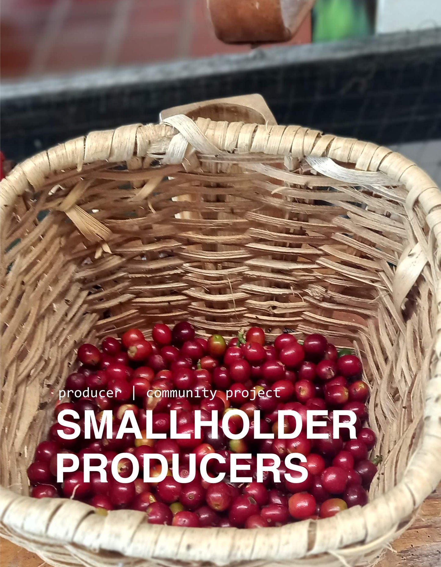 COLOMBIA Madre Maria (ESPRESSO | BESTSELLER)