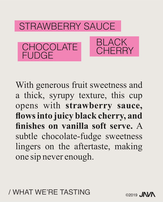 (NEW) Lica Torres, Milenio, Red Honey, COSTA RICA