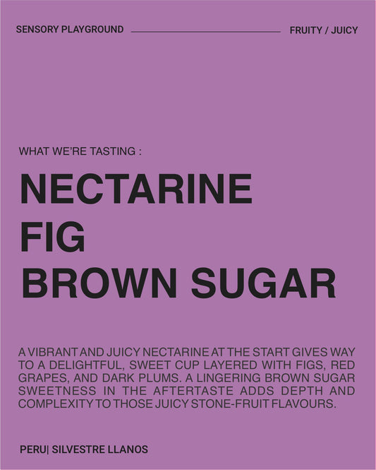 Silvestre Llanos, Washed-Mixed Varietals, PERU