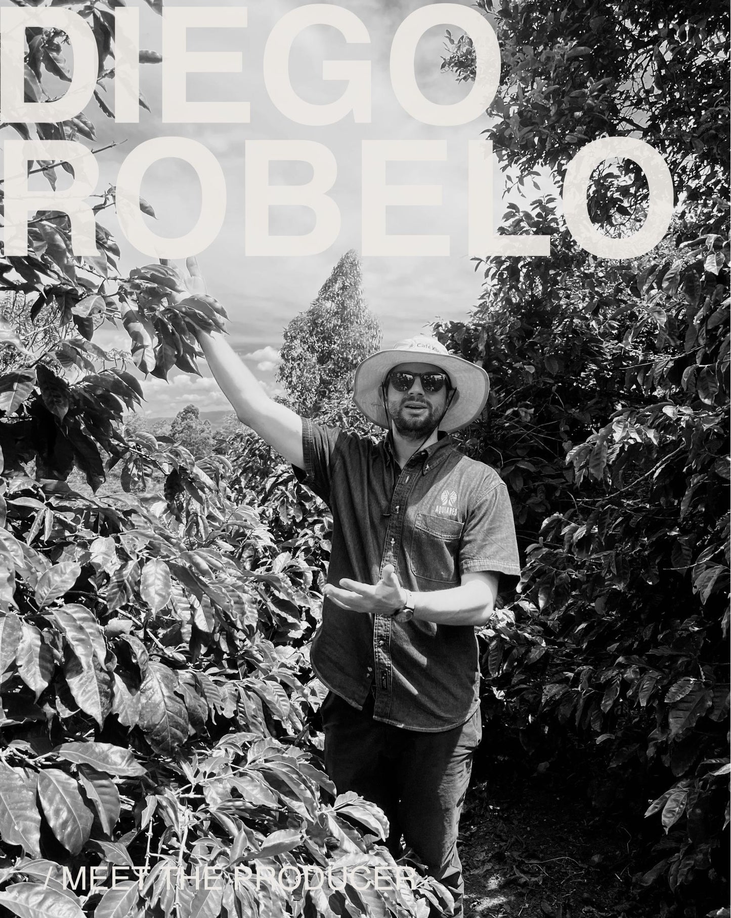 (NEW) Diego Robelo, Centroamericano, Washed COSTA RICA