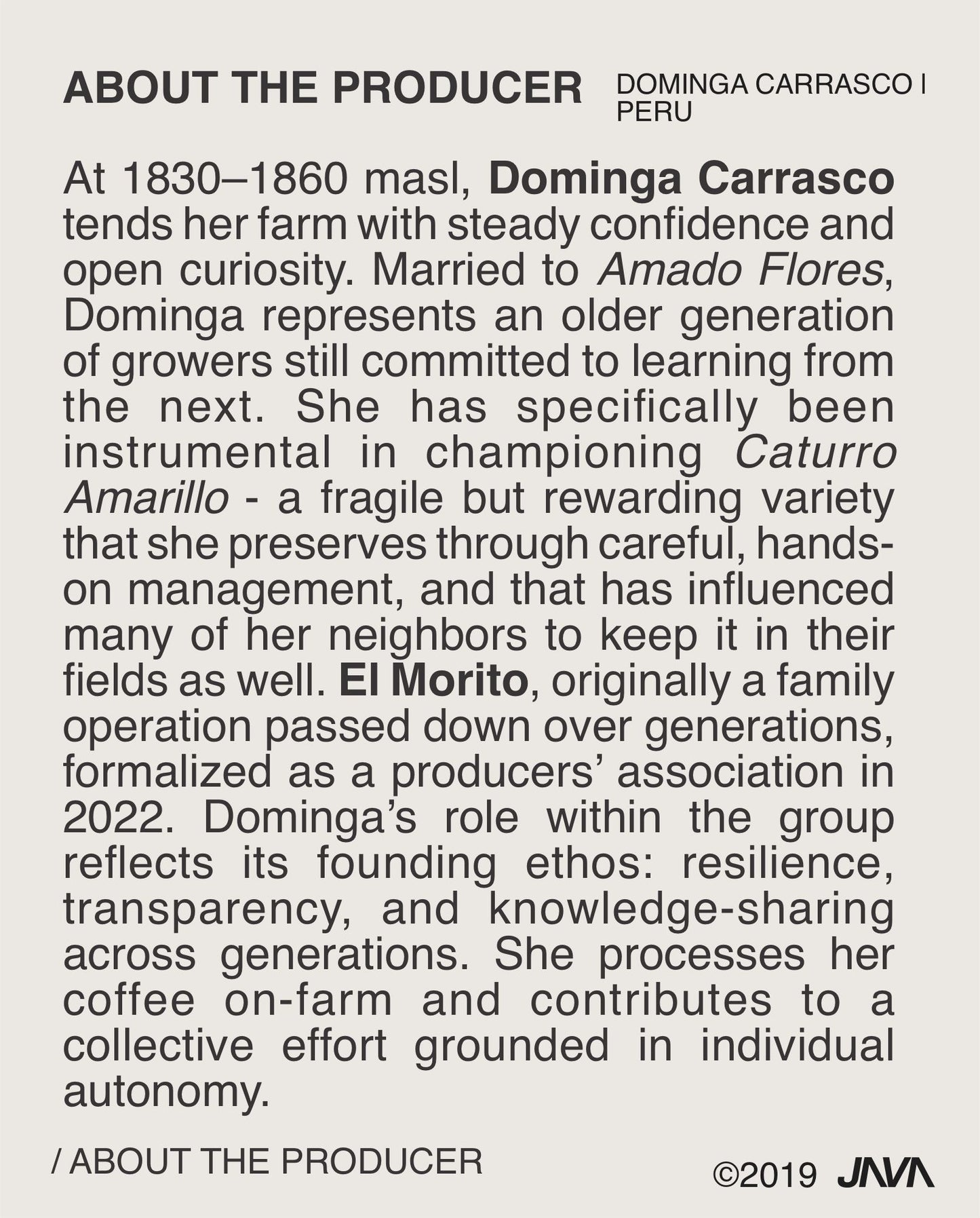 (NEW) Dominga Carrasco,Yellow Caturra, Washed PERU
