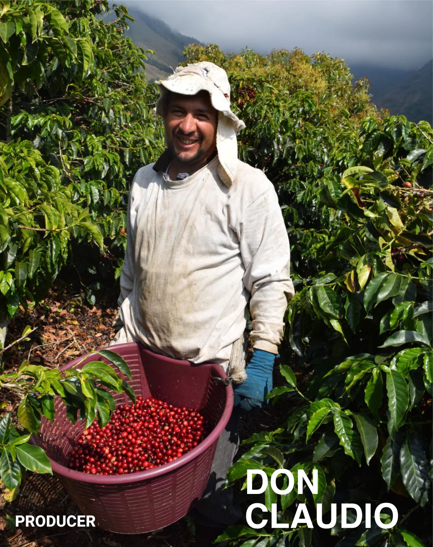 (NEW) COSTA RICA Don Claudio (ESPRESSO | BESTSELLER)