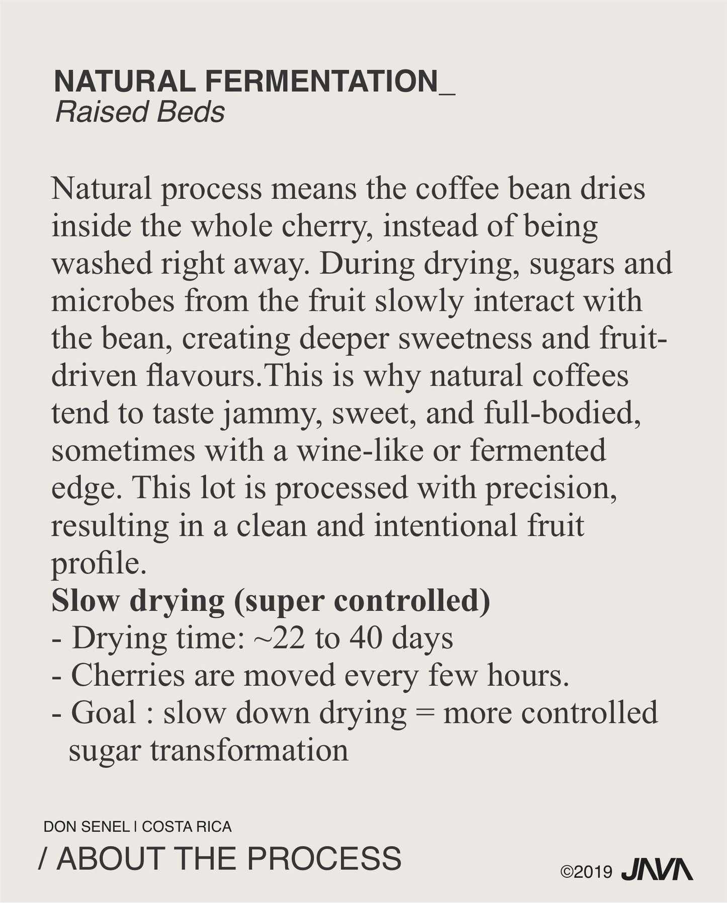 (NEW) Don Senel, T5296, Natural , COSTA RICA