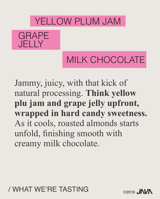 (NEW) Don Senel, T5296, Natural , COSTA RICA