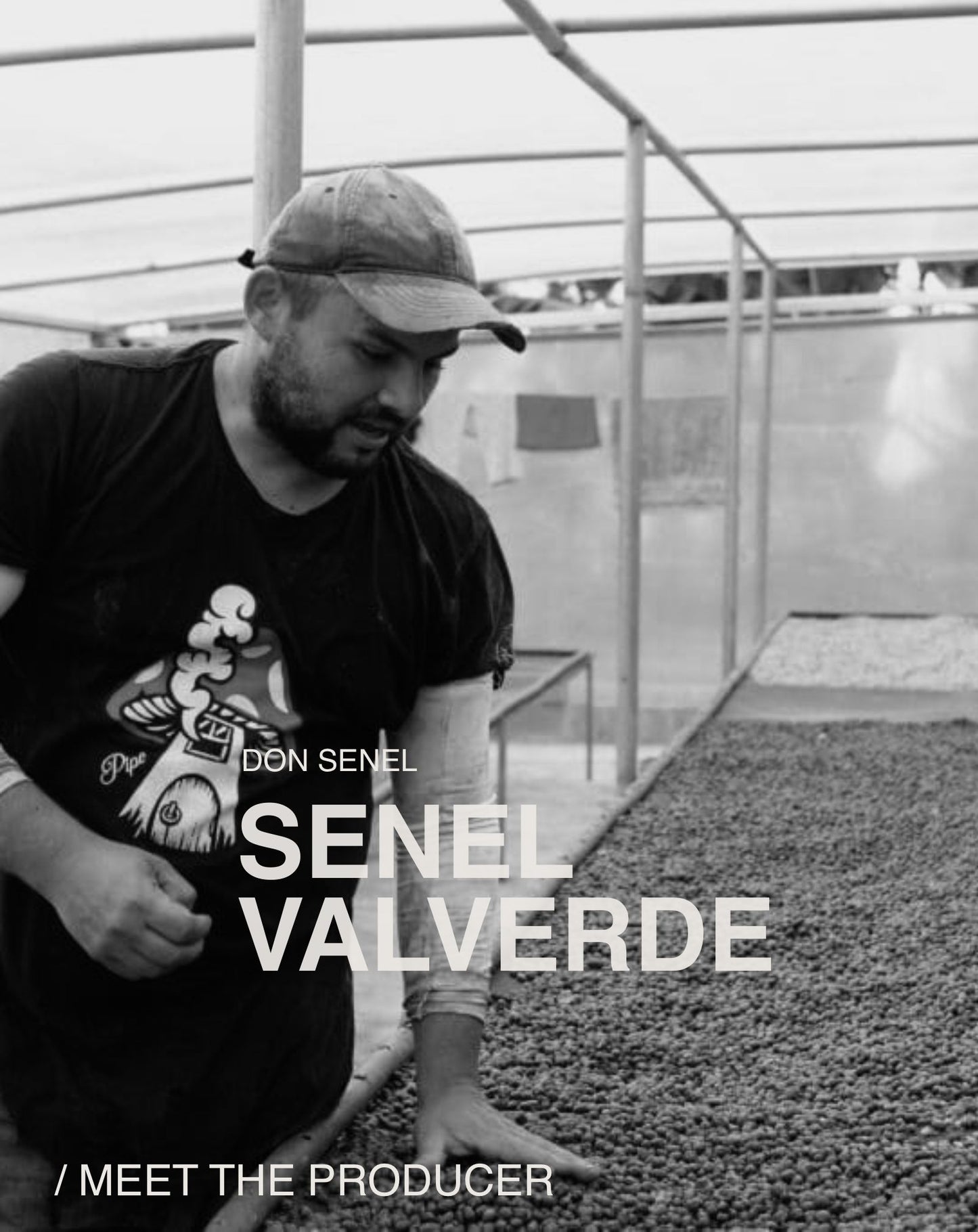 (NEW) Don Senel, T5296, Natural , COSTA RICA