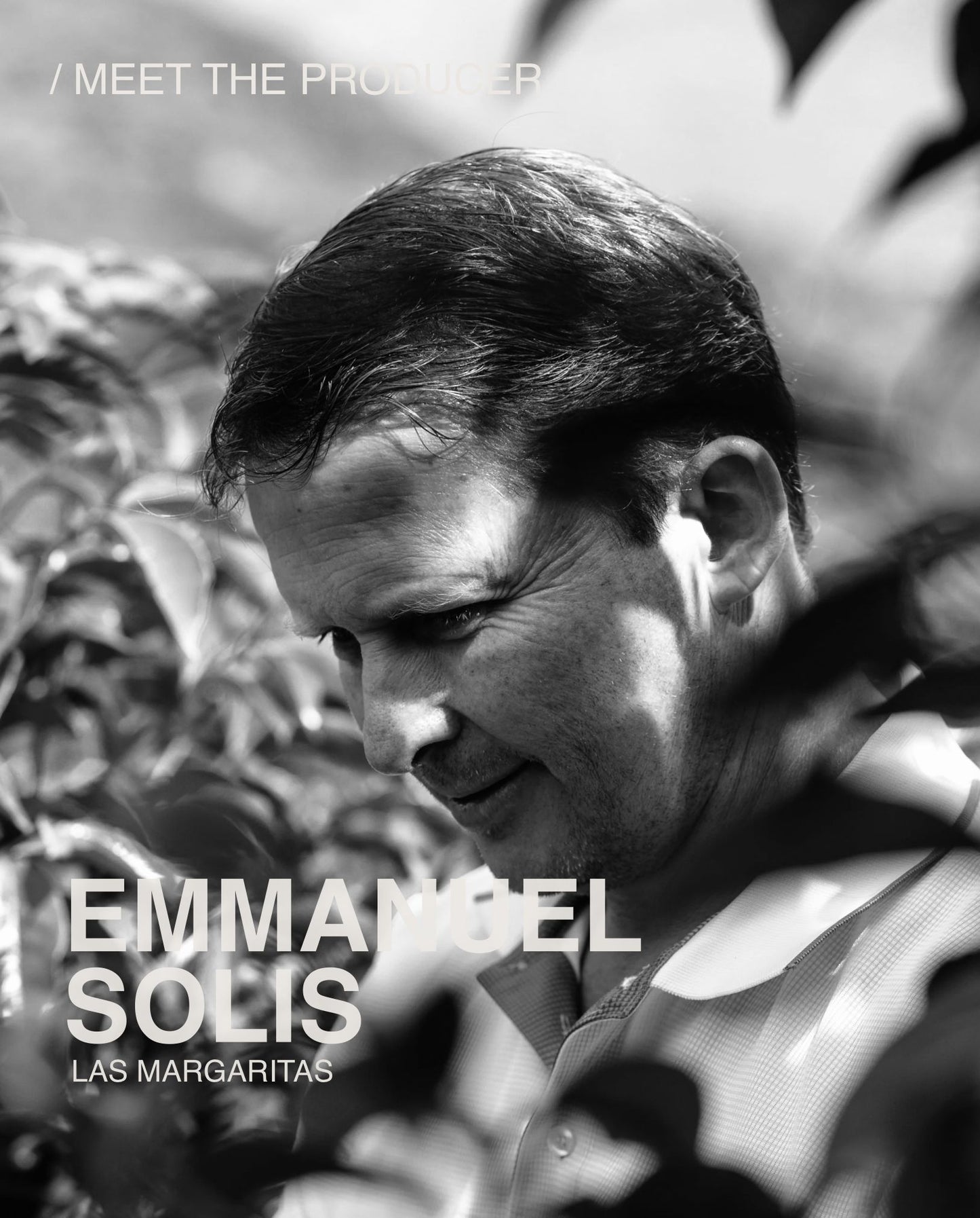 (NEW) Emmanuel Solis, GEISHA, Natural, COSTA RICA