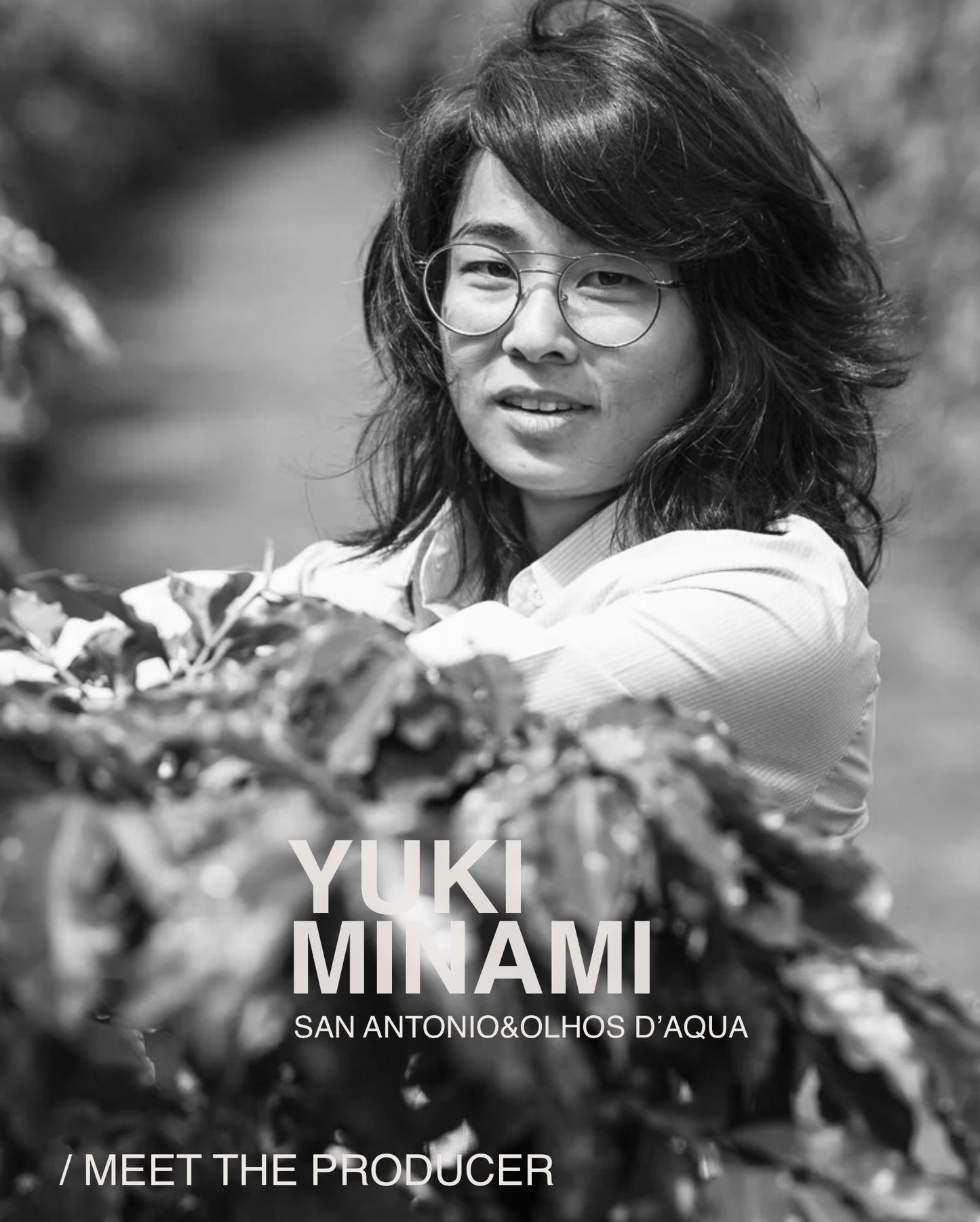 (NEW) Yuki Minami, Yellow Catuai, Natural, BRAZIL