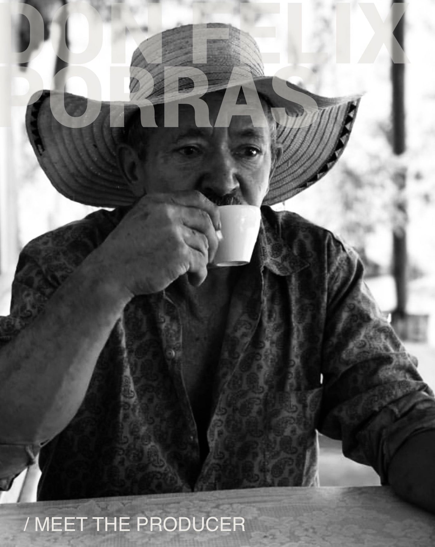 (NEW) Don Felix Porras, Mixed Varietals, Washed COLOMBIA