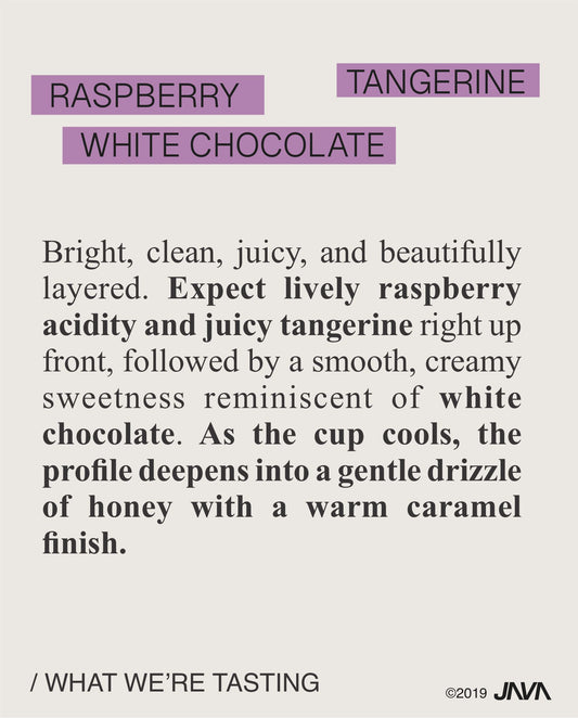 (NEW) Don Felix Porras, Mixed Varietals, Washed COLOMBIA