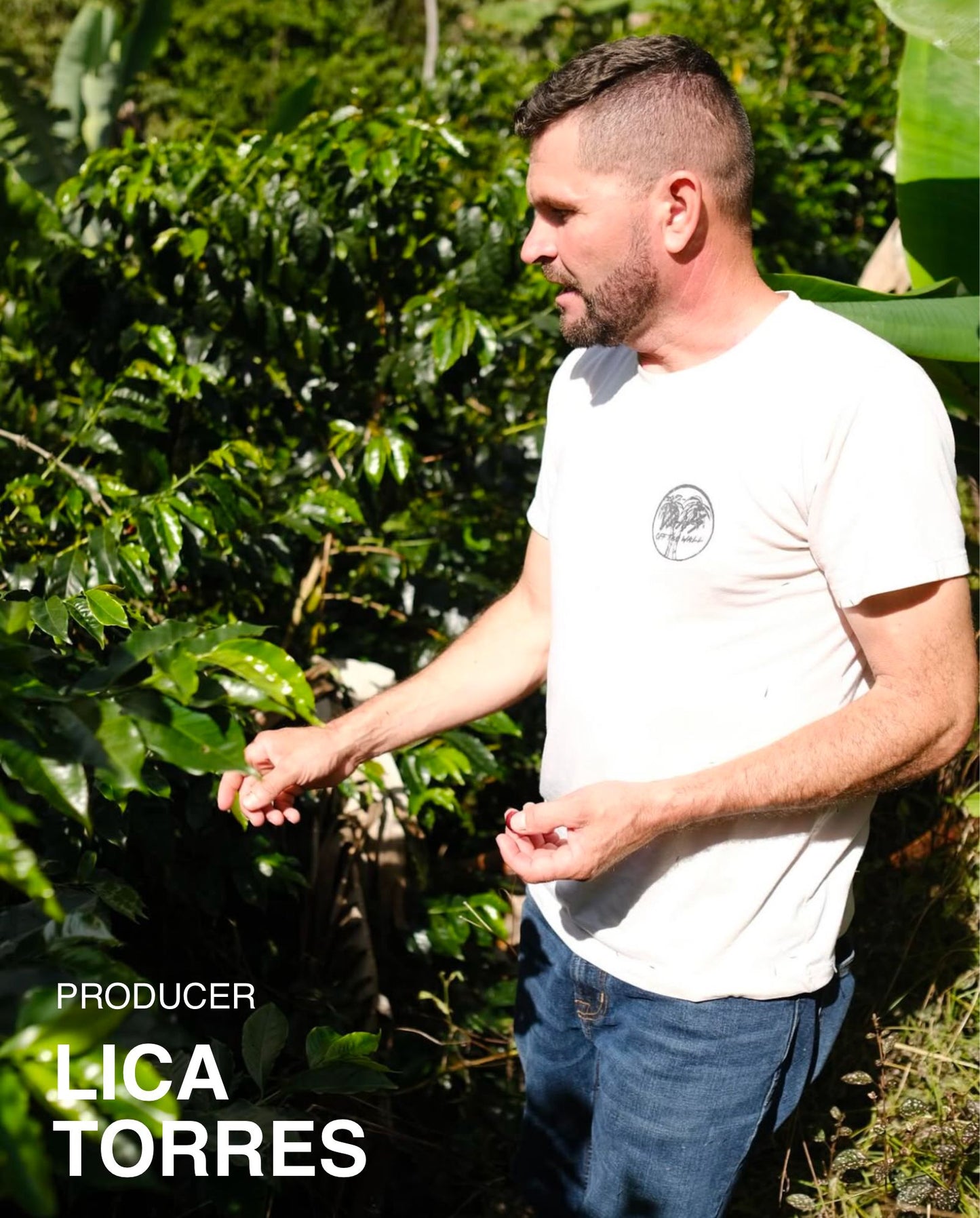 (NEW) COSTA RICA Lica Torres (ESPRESSO)