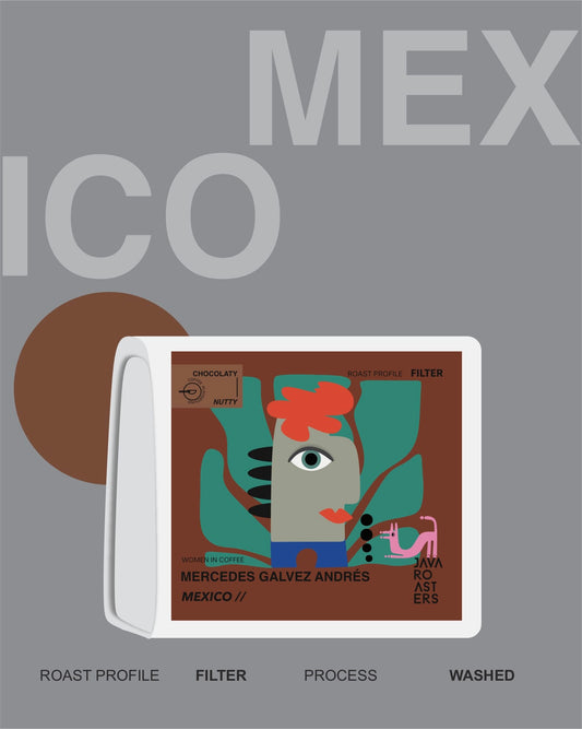 (NEW) MEXICO Mercedes Galvez Andres (FILTER | BESTSELLER)