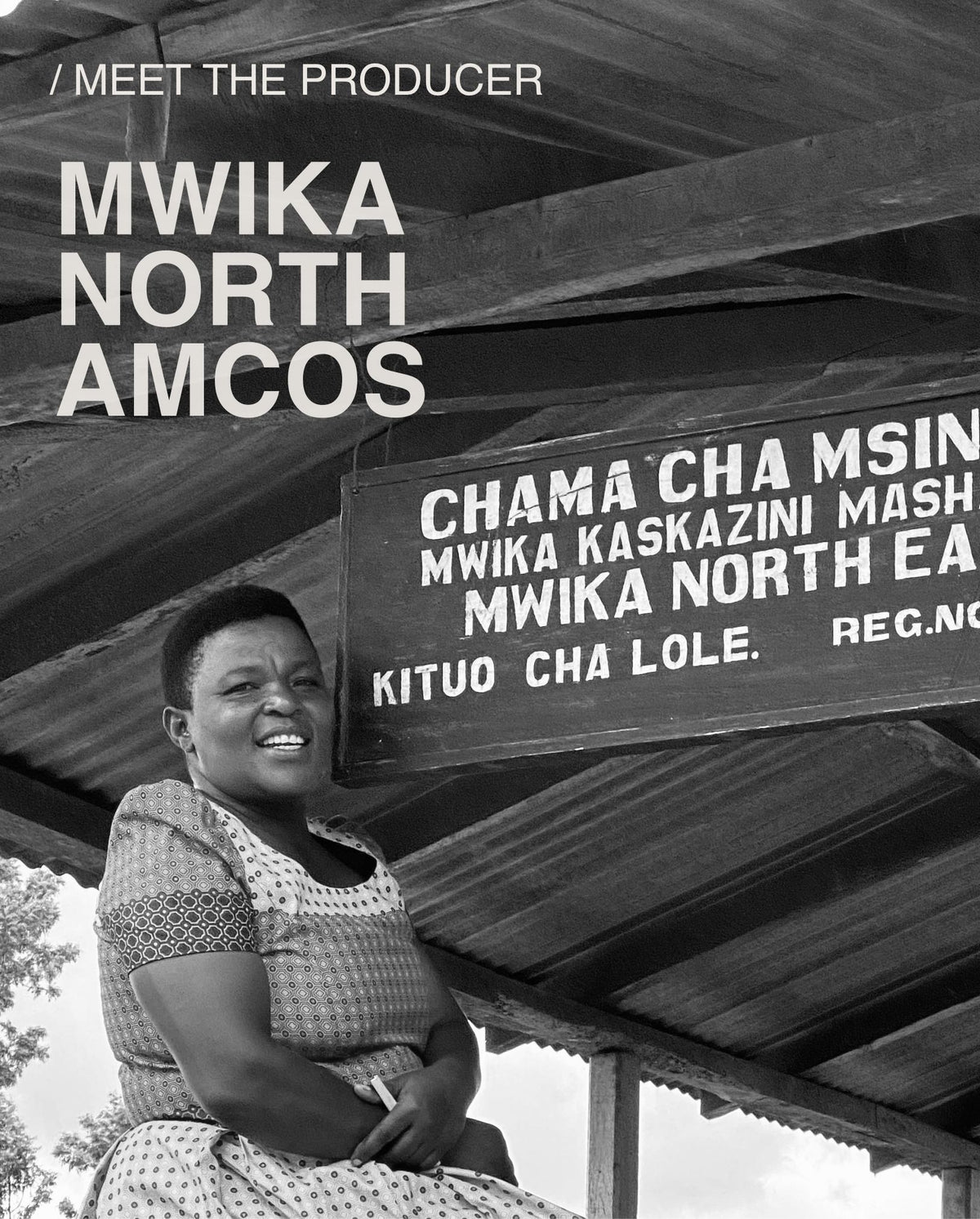 (NEW) Mwika North | TANZANIA