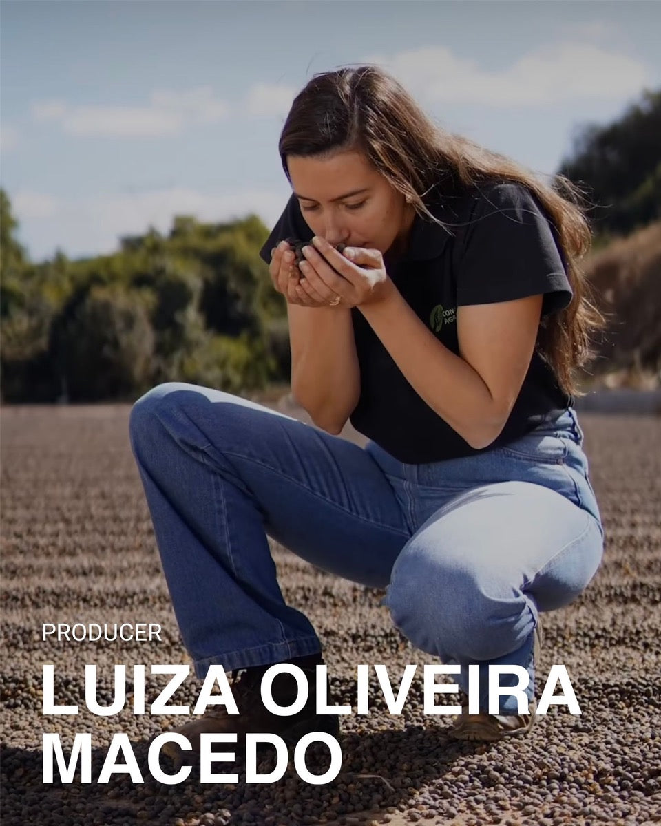 (NEW) BRAZIL Luiza Oliveira Macedo (ESPRESSO | BESTSELLER)