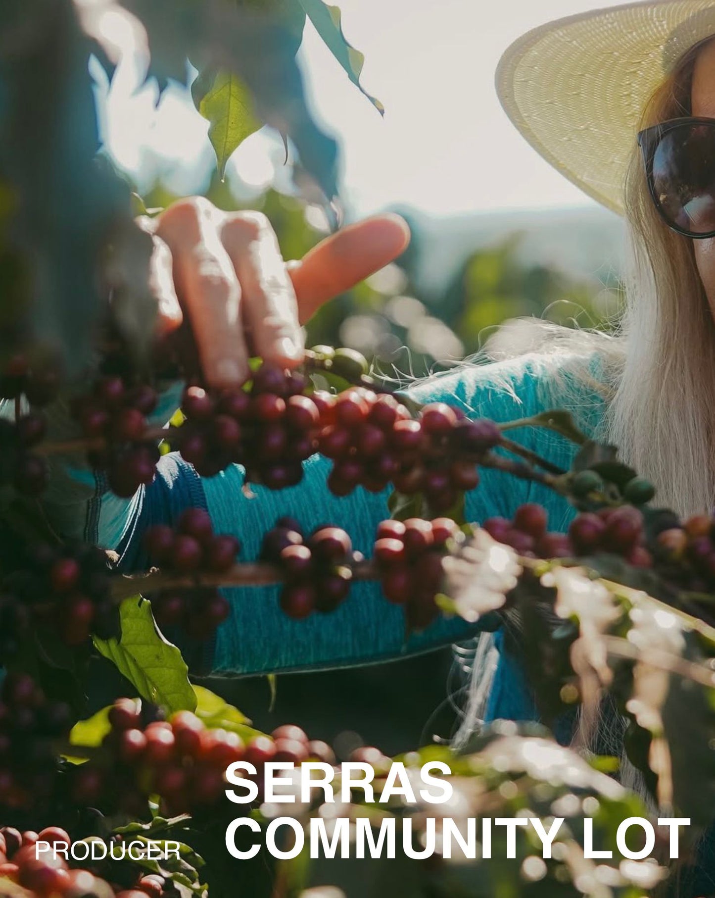 (NEW) Community Lot, Mixed Varietals, Natural BRAZIL