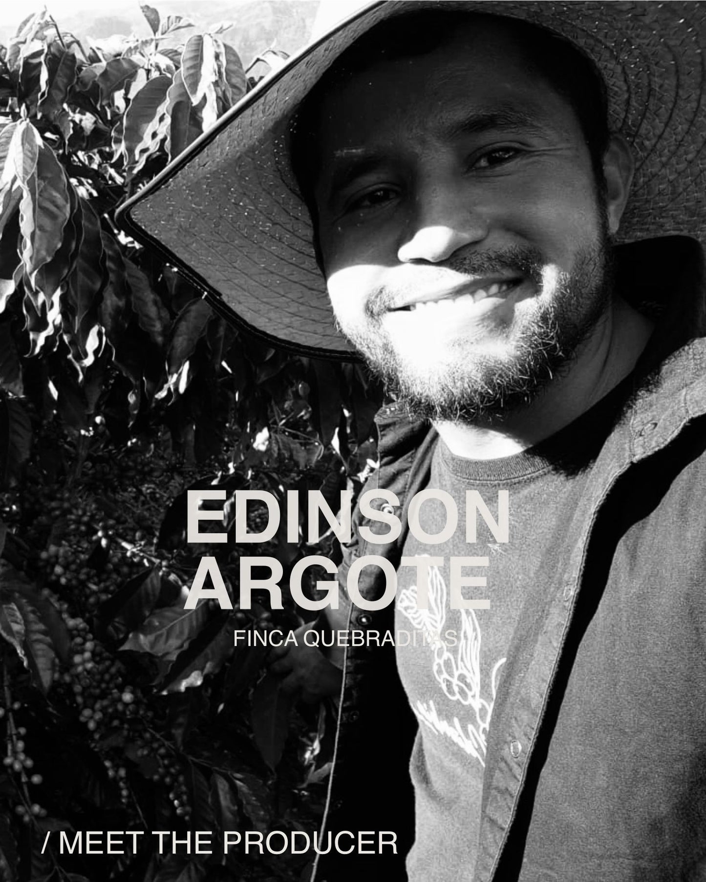 (UNLOCKED) Finca Quebraditas, Sidra, Thermal Shock Anaerobic, COLOMBIA