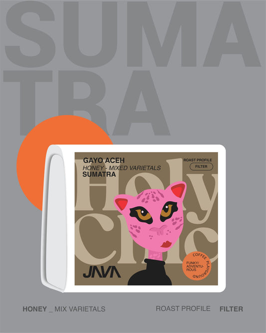 (NEW) Gayo Aceh, Mixed Varietals, Honey SUMATRA
