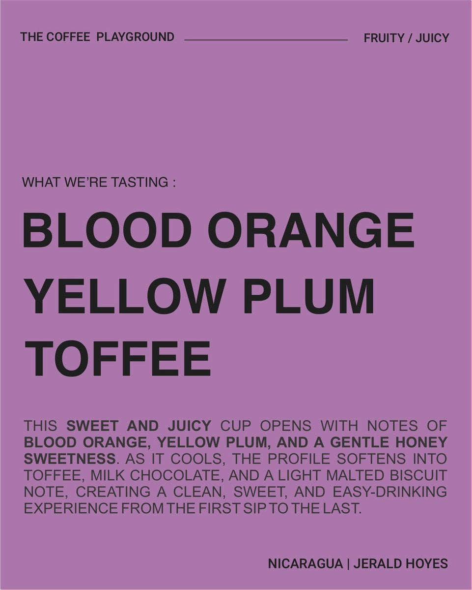 (NEW) Jerald Hoyes,  Caturra, NICARAGUA