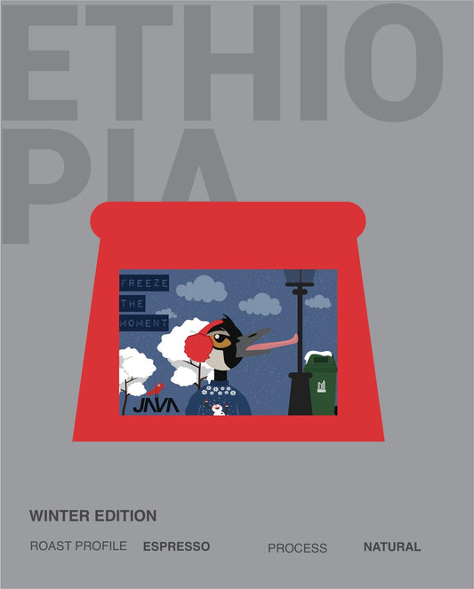 (NEW)Halo Beriti, Indigenous Heirloom, Natural ETHIOPIA (WINTER COFFEE)