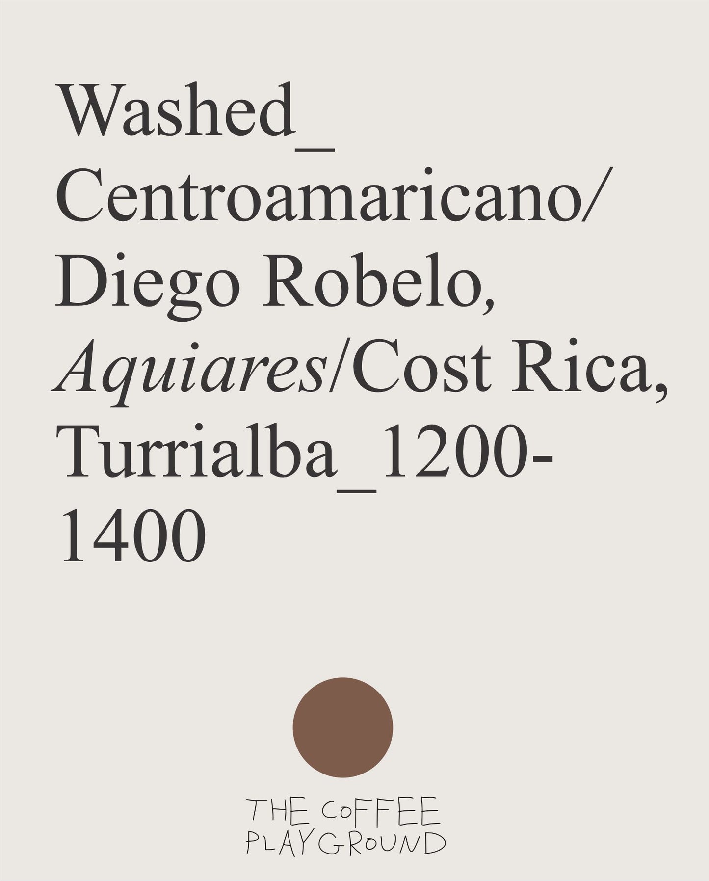 (NEW) Diego Robelo, Centroamericano, Washed COSTA RICA