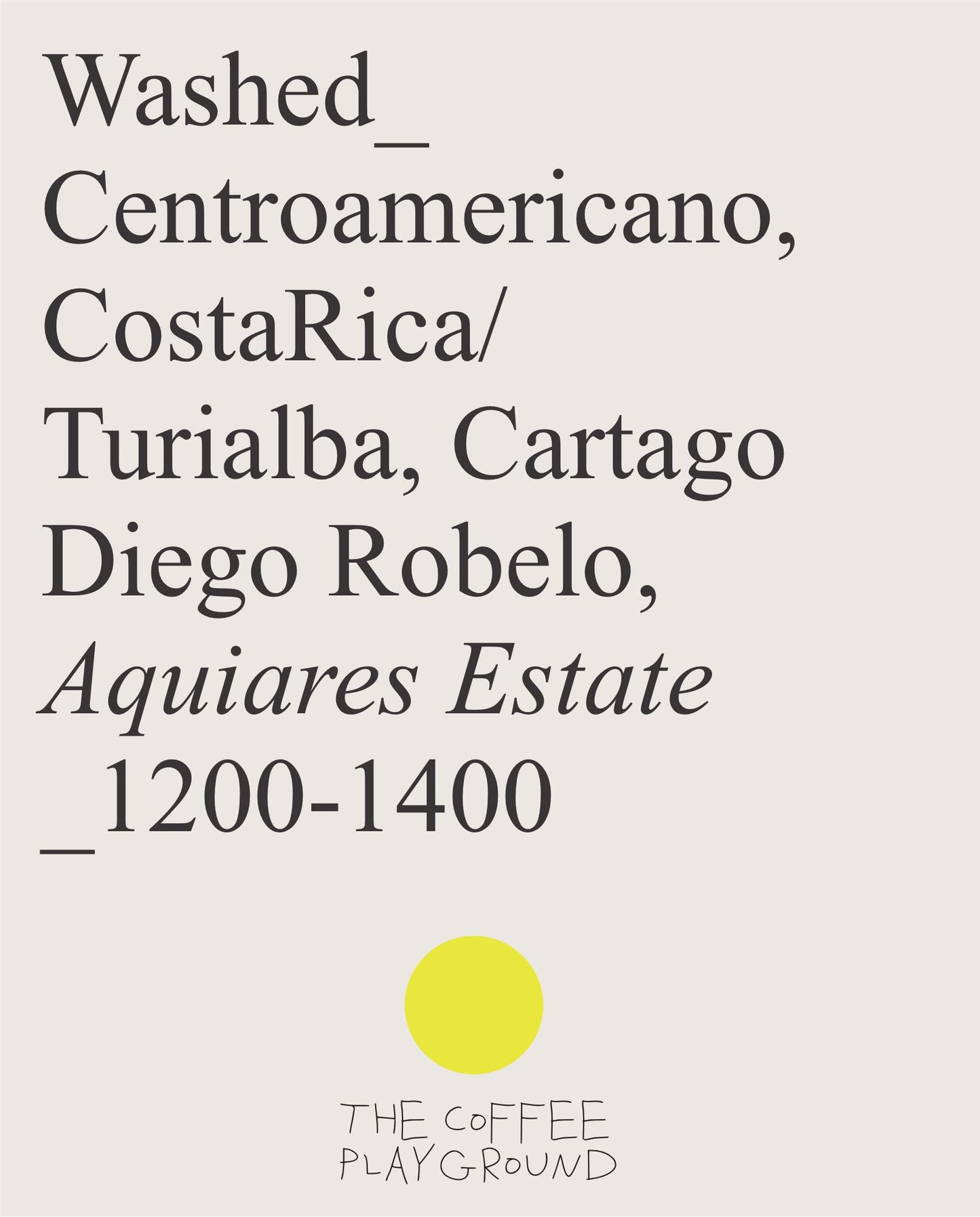 (NEW) Diego Robelo, Centroamericano, Washed COSTA RICA