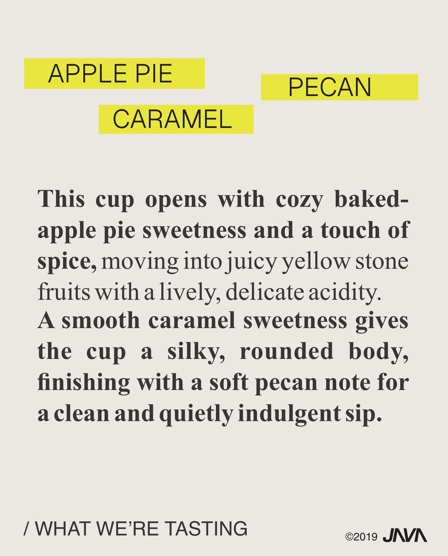 (NEW) Diego Robelo, Centroamericano, Washed COSTA RICA