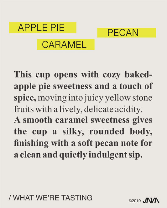 (NEW) Diego Robelo, Centroamericano, Washed COSTA RICA