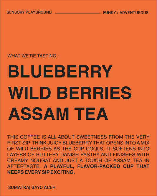 (NEW) Gayo Aceh, Mixed Varietals, Honey SUMATRA