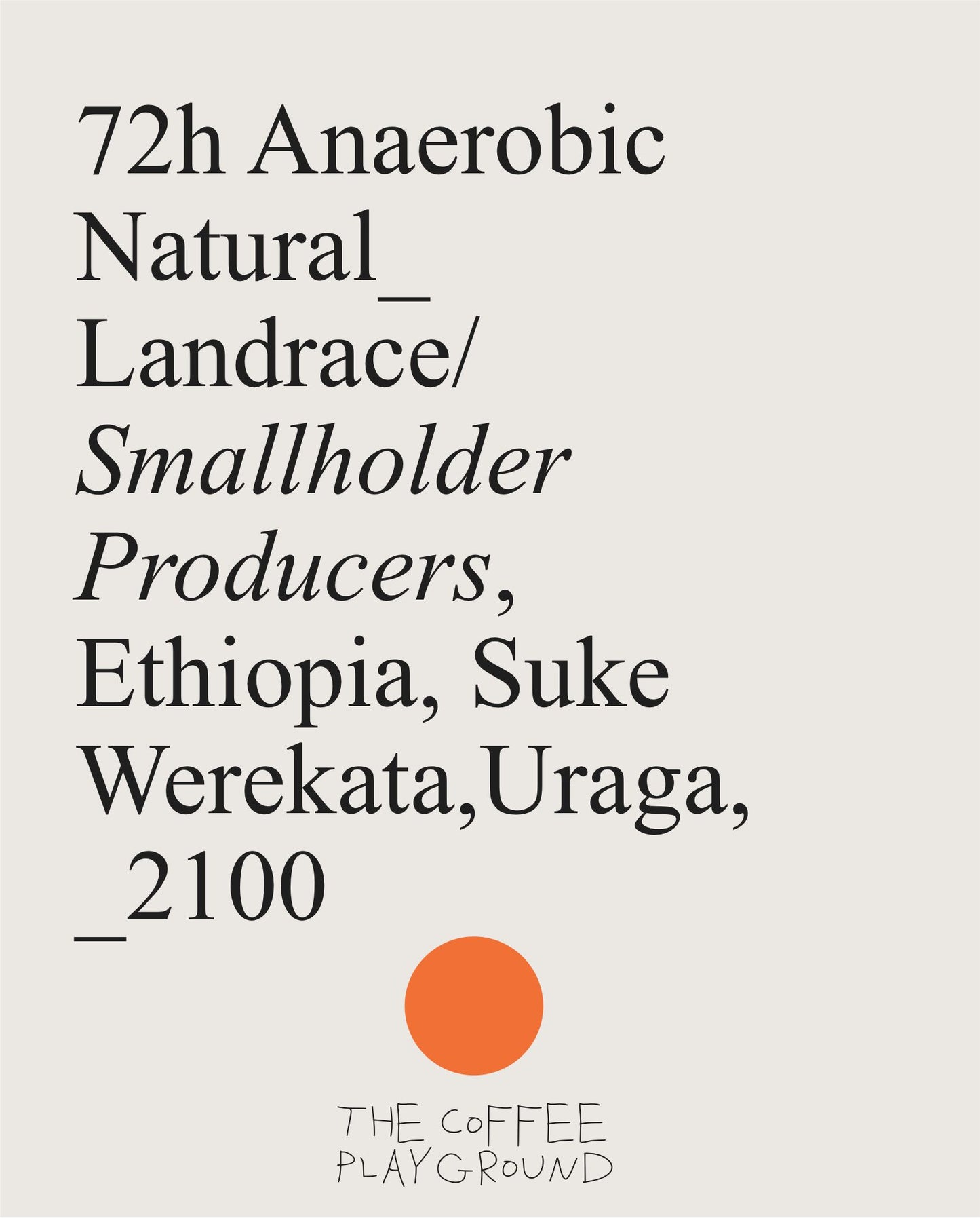 (NEW) Suke Werekata, Landrace, ETHIOPIA