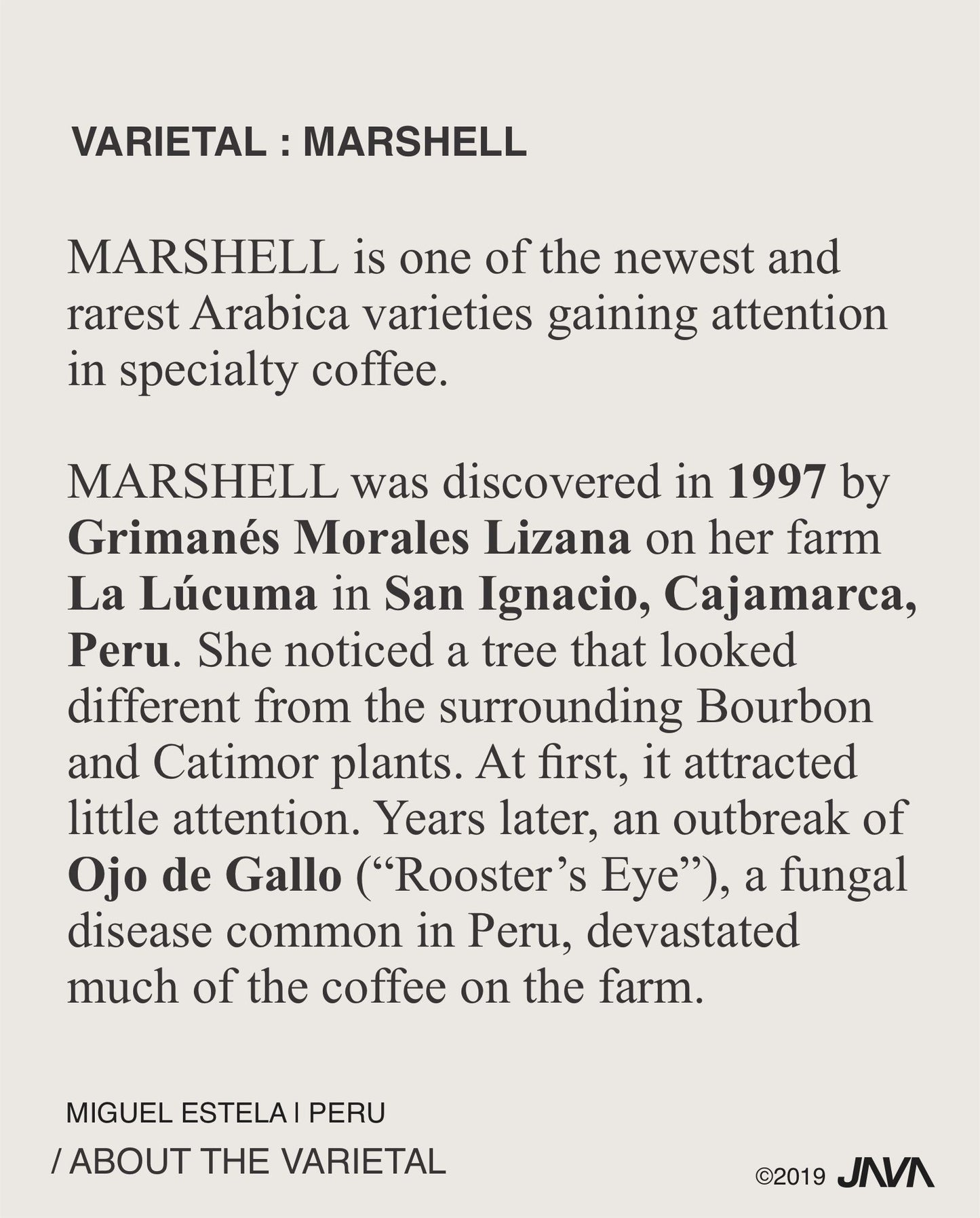 (NEW) Miguel Estela, Marshell, PERU