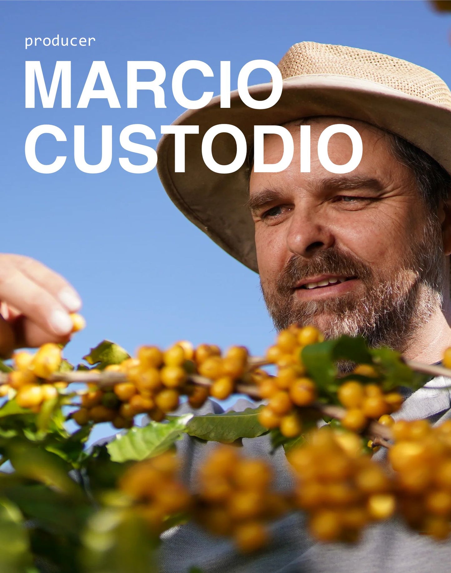BRAZIL Marcio Custodio (ESPRESSO | BESTSELLER)