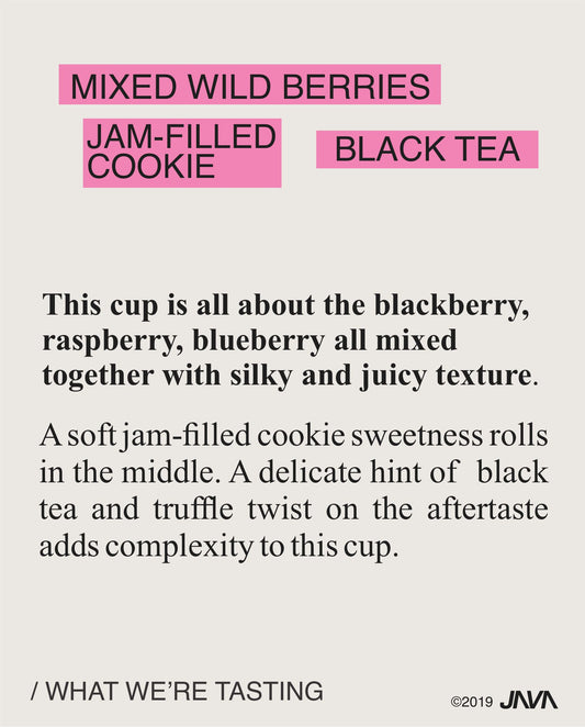 (BESTSELLER) Worka Sakaro, Heirloom, Natural, ETHIOPIA